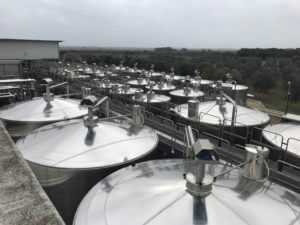 Trullo di Pezza Puglia fermentatietanks