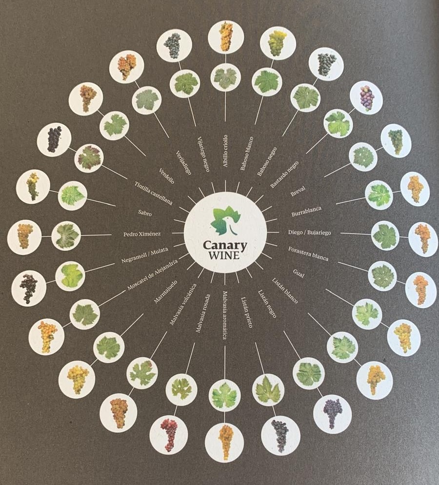 Druivenrassen van de Canarische eilanden