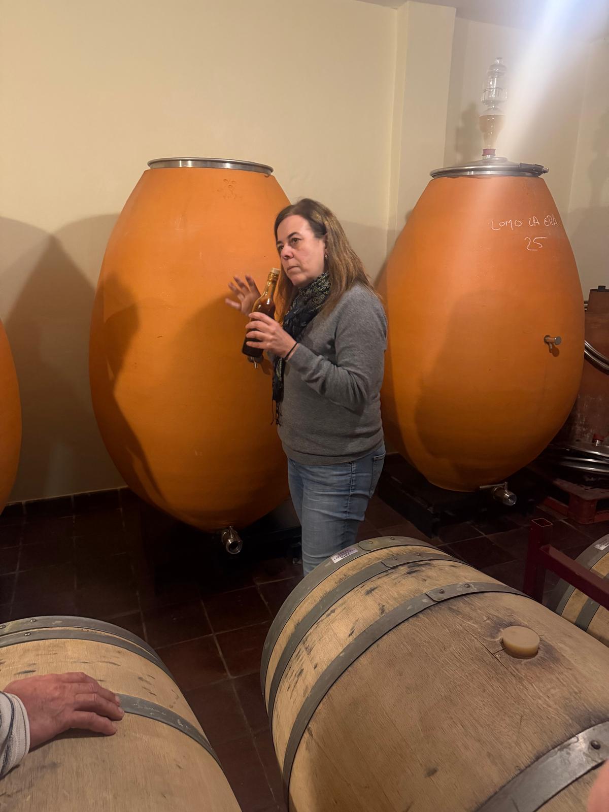 Amfora's in de wijnkelder van Viñátigo