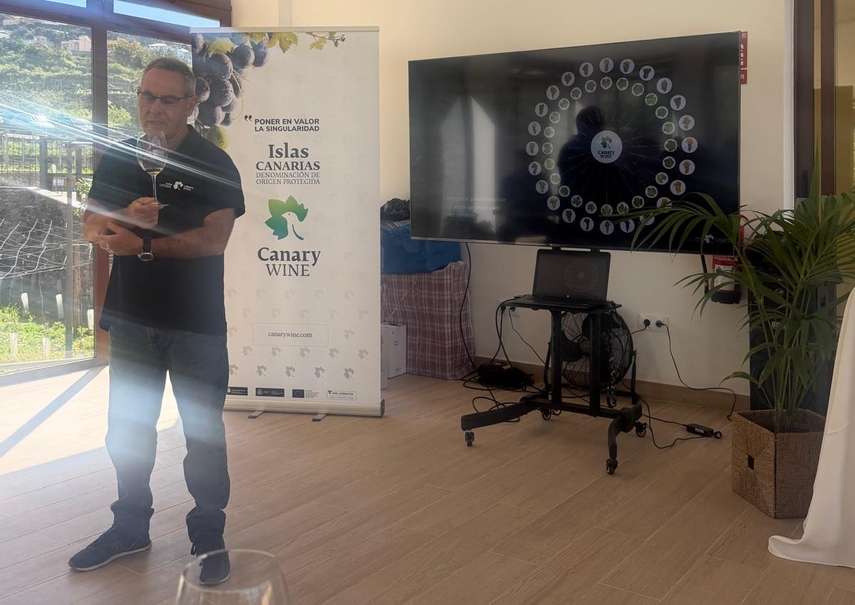 Juan Enrique de Luis Canary wines