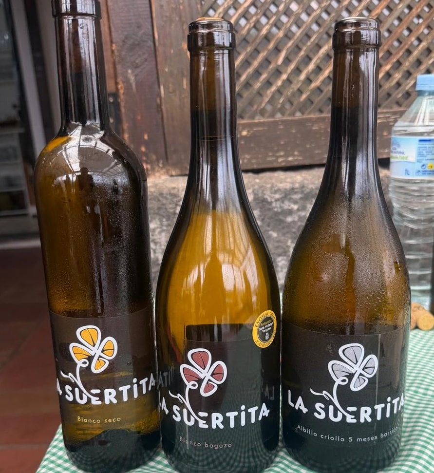 Wijnen van Suertita