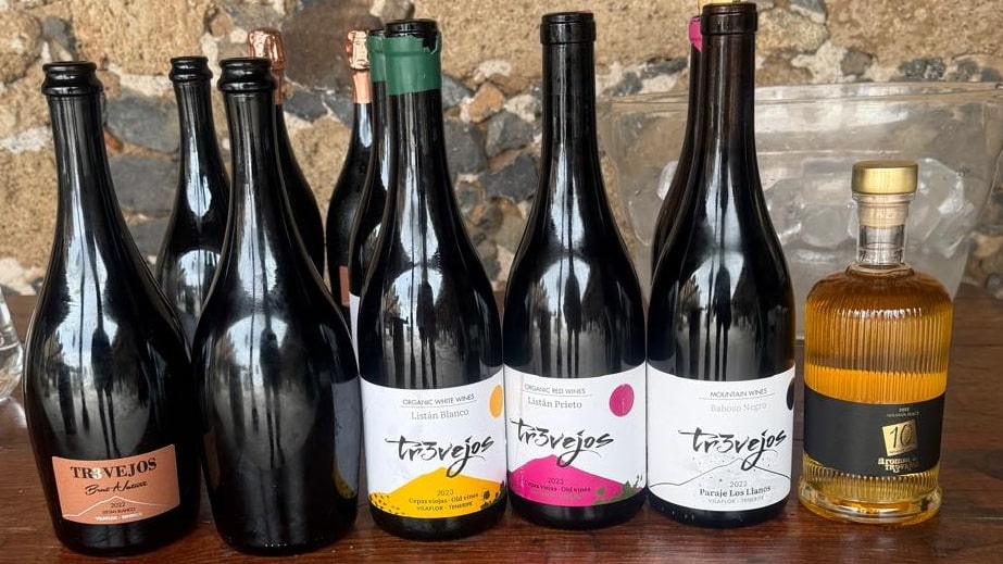 wijnen alma de trevejos