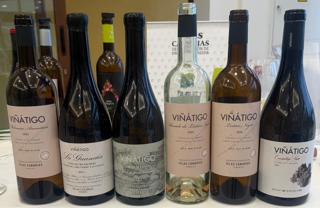 wijnen van Viñátogo